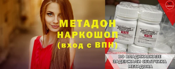 трава Наволоки