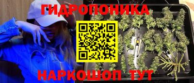 дживик Коммунар