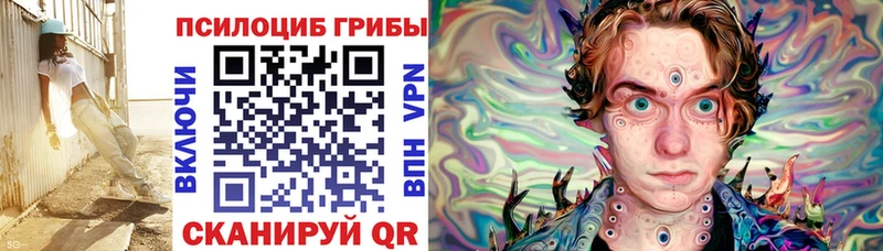 Псилоцибиновые грибы мицелий  Жуковский 
