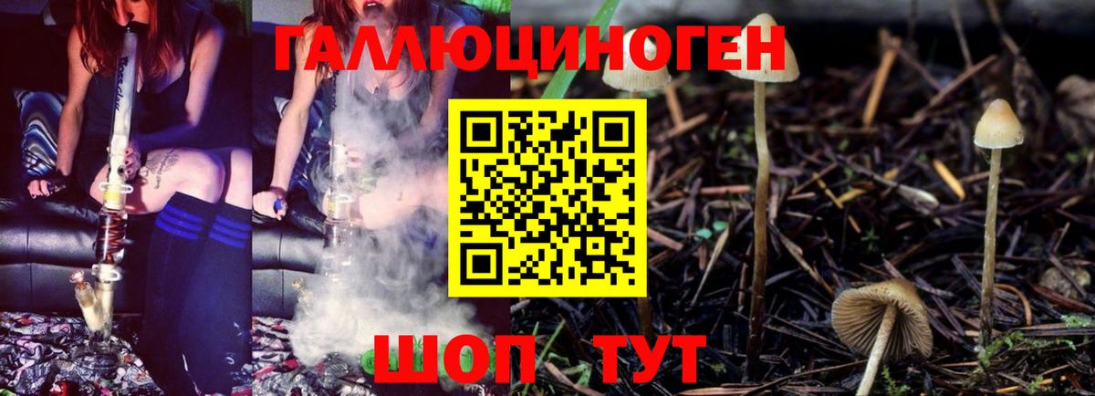 Галлюциногенные грибы мицелий Жуковский