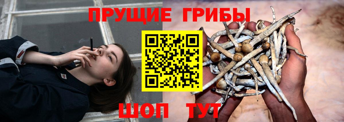 Жуковский  Галлюциногенные грибы мицелий  Вход с VPN 